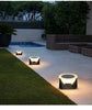 Ecovare™ Solar Pole Light | Garden Path Illumination